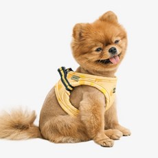 RealPet 狗狗散步圓點輕薄胸背帶, 黃色, 1件