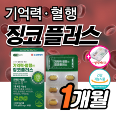 징코 플러스 기억력 혈행 개선 에 좋은 맥스 은행잎추출물 혈관 부모님 수험생 징코 50대 민 40대 선물 식약청 식약처 집중력 청소 여성 남성 뇌 빌로바 +도레미잡화점 약케이스, 1박스, 30정