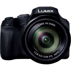 파나소닉 루믹스 FZ80D 포인트 앤드 슛 디지털 카메라 4K 사진/비디오 녹화 파워 광학 손떨림 방지 기능이 탑재된 브이로그용 60배 줌 및 201200mm 광각 렌즈 DCF, FZ80D: USB-C & OLED EVF, 1) FZ80D USB-C 및 OLED EVF