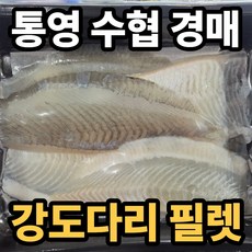 [통영수협] 강도다리 필렛 도다리 세꼬시 회, 1세트, 세꼬시 필렛 1kg