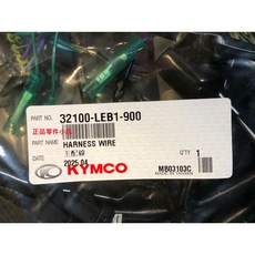 KYMCO 光陽 LEB1-900 主配線 G5 125 化油車專用, 1個
