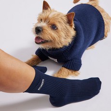 커플세트 페티멘토 반려동물 스웨터 따뜻한 풀오버 강아지 니트 시그니처 니트 + 반려인 양말세트, 1개, 시그니처 네이비 SET