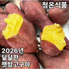 [SNS인기] 농장직송 고당도 꿀 밤고구마, 1개, 2KG