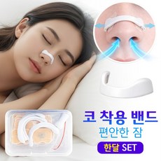 편안숨 편안한 코 착용 밴드 자석형 편한 코호흡, 1박스