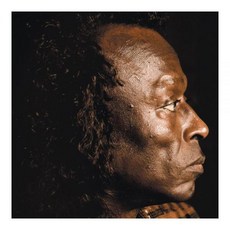 Miles Davis Vinyl 비닐 LP 레코드 The Best Of 미국 발송, Miles Davis Vinyl 비닐 LP 레코드 Th