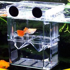 치어격리통 분리통 식 중형 구피산란통 부화통 분리판 인큐베이터 수족관 파티션 치어분리통 치어받이 어항 칸막이 산란 배양구 부화 분할, 1개