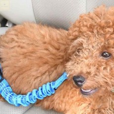 반려용품 애완동물 조절가능 자동차 안전벨트, 3반려견밸트-핑크