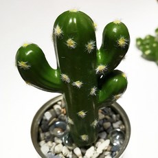 仿真多肉植物盆栽裝飾品, M9仿真仙人掌, 1個