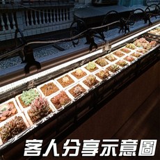君沛植物燈 12.5W 植物生長燈, 1個, 全光譜(2呎) 附強力磁鐵扣, 全光譜
