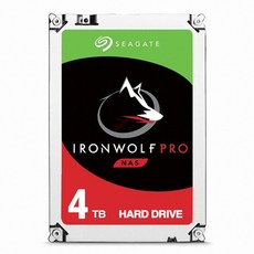 씨게이트 Seagate IronWolf Pro 4TB (ST4000NT001) - NAS용 (구모델 ST4000NE001), ST4000NT001