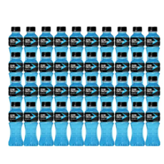 파워에이드 마운틴블라스트, 355ml, 40개