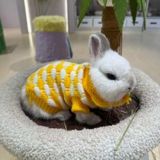寵物新年服 小兔針織衫 可愛秋冬季毛衣 幼犬貓服飾, 黃菠蘿,四號（適合0.2.5-0.5公斤背長15, 1個
