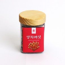 영지버섯 국내산 버섯차 소용량 PET병 간편포장, 1개, 40g