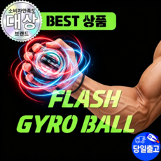 플레시 자이로볼 손목 악력 운동기구 전완근 스트레칭 홈트 파워볼, 1개, 그립파워볼