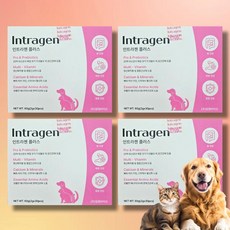 인트라젠유산균 인트라젠 강아지종합영양제, 장건강/유산균, 4박스