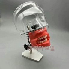 치과 실습용 두개골 모형 스케일링 시뮬레이션 연습 교구 병원 치위생사 교육용 스트랩형 모델, 1개, 간이 헤드 마스크 1003-4c