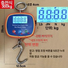 매달림 저울 1톤 호이스트 용수철 휴대용 충전식, 기본 모델명/품번, 충전형 300kg, 1kg