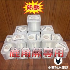【小蔡的木作坊】鹿角蕨專用上板 釣魚線 8號（500米）, 1個