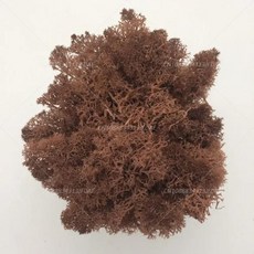 인공 녹색 식물 영원한 생명 DIY 잔디 홈 룸 미니 가짜 50g, 7)10g, coffee