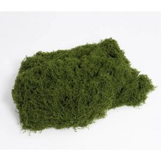 DS 9G 시뮬레이션 녹색 생태 조경 안뜰 장식 식물 인공 잔디 이끼 생체 공학, 1개, B Weight 0.2kg