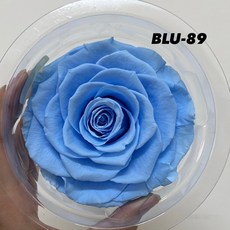 花藝夢 Rose Amor 厄瓜多永生玫瑰花 單朵販售 XXL號超大永生玫瑰, BLU-89