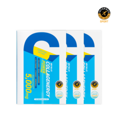 콜라게너지 BCAA 아르기닌 아미노산 10g 12포, 3박스, 120g