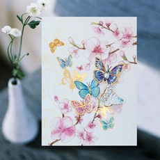 큐빅나비카드 FT1038-5