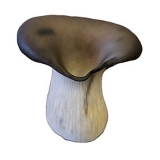 느타리 느타리버섯 큰느타리버섯 새송이버섯 2KG 1KG, 1박스, 특 큰느타리 2KG