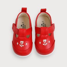 모이몰른 모이몰른 몬트멜로디화 봄