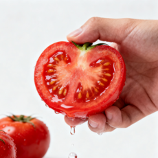 [기간한정행사] 퓨어루트 유럽종 완숙 찰토마토 산지직송, 1박스, 3kg