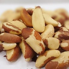 烘培巴西豆 巴西堅果 無調味 和平堅果坊 LM Shop 600g, 1個, 600g 無調味巴西豆