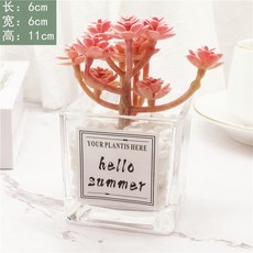 台灣熱賣ins風仿真多肉盆栽，仙人掌綠植客廳擺件，小盆栽裝飾品綠植假花桌面擺設，輕鬆打造清新居家風格, 粉美人+ins小方玻, 1個