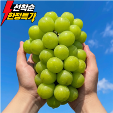 [하루100박스만] 초특가할인 산지직송 고당도 샤인머스캣, 1박스, 2kg