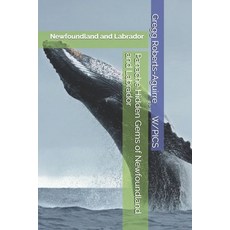 (英文圖書)Panache Hidden Gems of Newfoundland and Labrador: Newfoundland and Labrador 平裝版, Independently Published, 英文