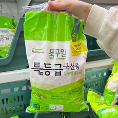 트레이더스 풀무원 국산 무농약 콩나물 500g, 1개