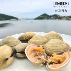 국산 생물 개조개 대합 조개, 1개, 대(5-8미) 1kg