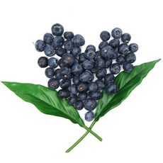 달콤새콤 칠레산 블루베리 14-16mm 팩당 125g, 125g x 2팩