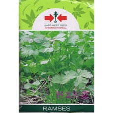 【野菜部屋~】RAMSES 泰國耐熱香菜種子 原包裝 泰國進口種子 耐熱品種, 1包