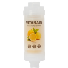 비타레인 비타민 샤워기 필터, 2개, 레몬향