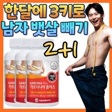 남자 뱃살 빼기 한달에 3키로 똥배 내장지방 빼는법 허리살 칼로리 컷 고함량 가르시니아 엘카르니틴 100일 살빨리빼는법 지방 분해 히비스커스 마테 녹차 추출물 탄수화물 컷팅제 분해, 1개