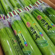 갓 수확한 애호박 1박스 20개입, 5kg내외