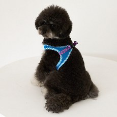 리얼펫 강아지 체크 슬림 하네스, Blue, 1개