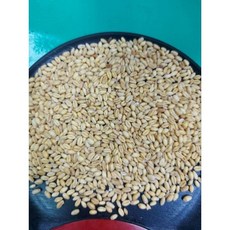 金協和 小麥 600g白小麥3000g生麥粒 養生食品, 1個, 600g