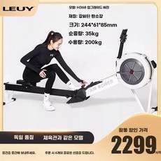로잉머신 에어로 노젓기 운동, 1, C. H368 업그레이드 된 모델 흰색 대담한 스틸 레