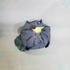 국내산 적채, 1박스, 200g