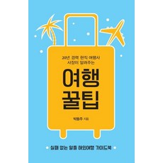 IdamBooks 由20年資歷的現任旅行社社長傳授的旅行秘訣：零失敗的實惠海外旅行指南, 朴東柱