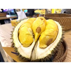 프리미엄 고당도 생두리안 항공직송 태국 몬통품종 통두리안 2kg~, 1박스, 생 두리안 2.5~3kg(1~2수)