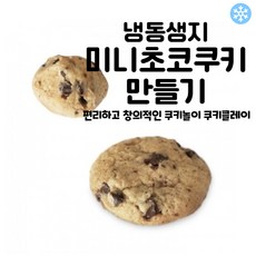 마리네빵공장 쿠키 냉동생지 미니 초코맛 토이 쿠키만들기 납품 결혼 답례품 18g, 2개, 450g