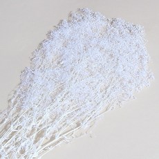 화연양화 미니 안개꽃 한단 프리저브드플라워 시들지않는생화, 01 화이트