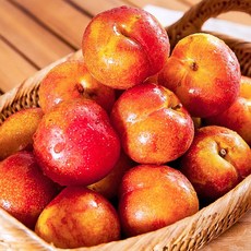 산지직송 새콤달콤 햇 자두 2kg 랜덤과 외, 자두 1kg 소과